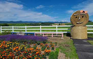 新栄の丘展望公園